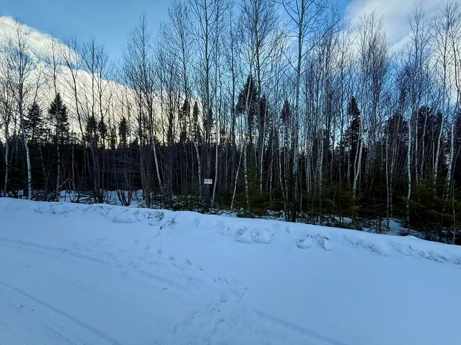 Lot #8 Greenville Steam Road, Greenville, ME 04441 - #2