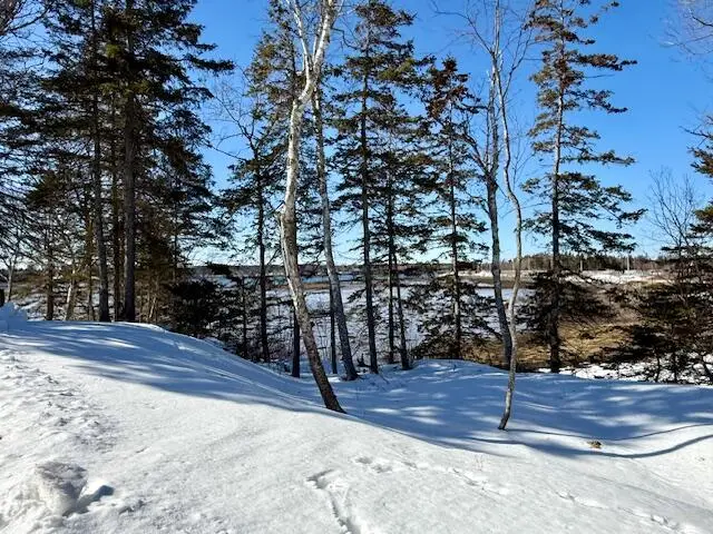 20 Vanasse Road, Eastport, ME 04631 - #3