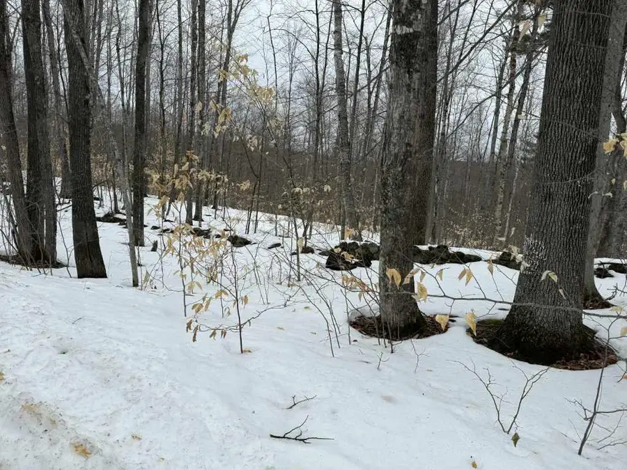 Lot 005 Greenwood Brook Road, Industry, ME 04938 - #3