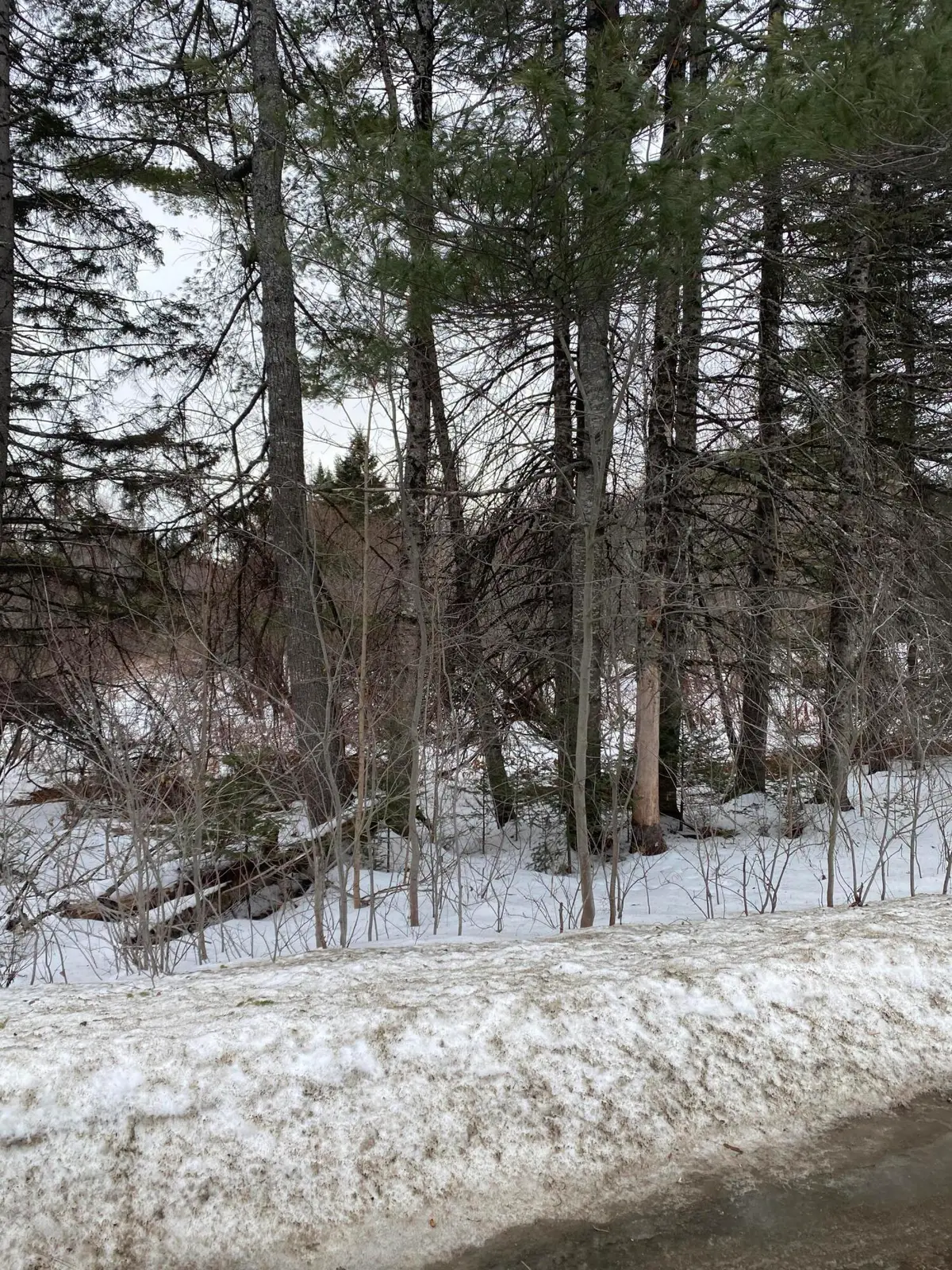 670 Canaan Road, Pittsfield, ME 04967 - #1