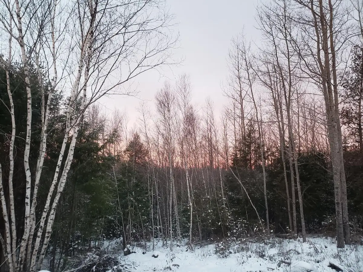 Lot # Old Commonwealth, Enfield, ME 04493 - #1