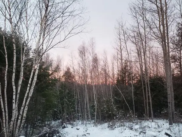 Lot # Old Commonwealth, Enfield, ME 04493