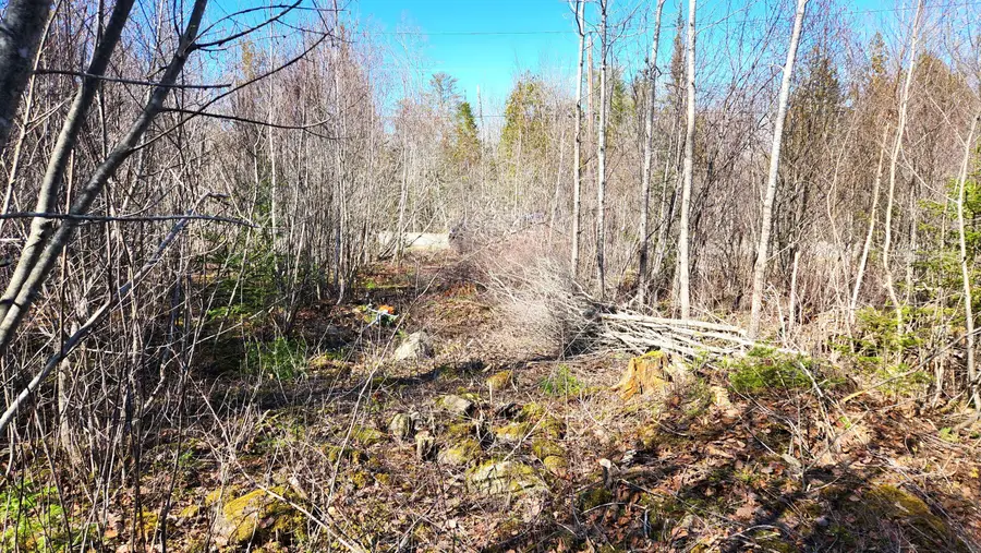 10 Bowling Green Lane, Belfast, ME 04915 - #2