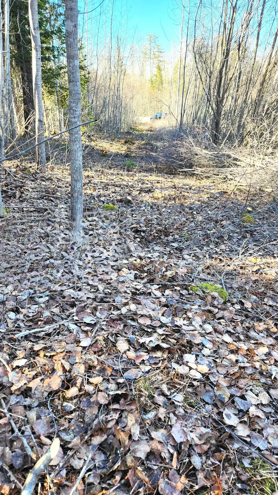 10 Bowling Green Lane, Belfast, ME 04915 - #3