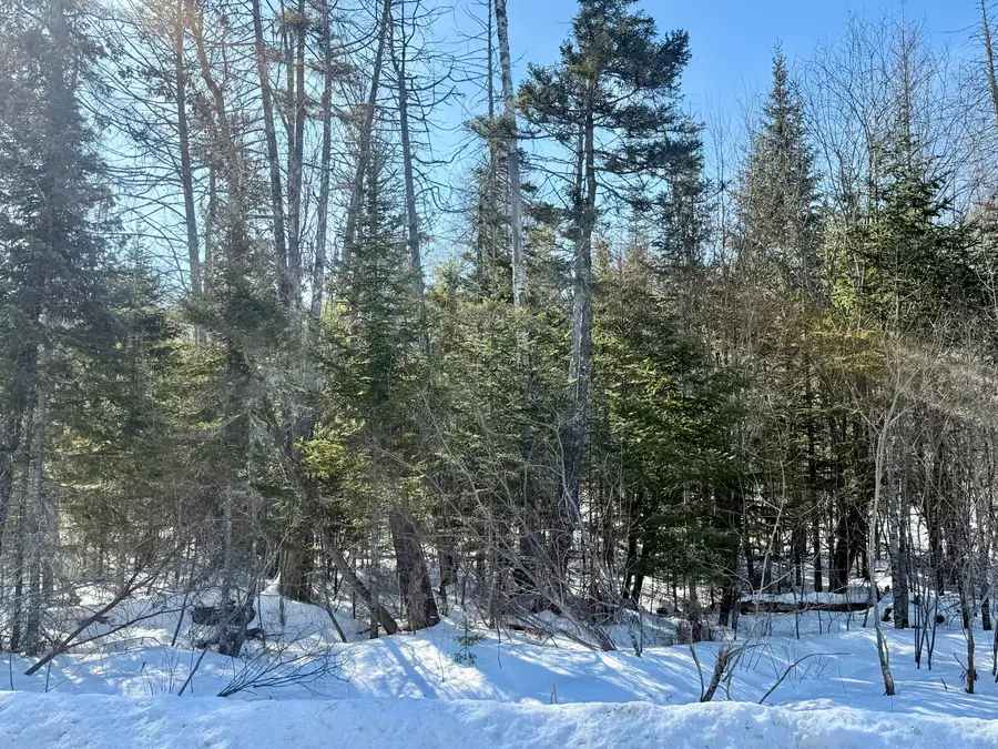 8 Bowling Green Lane, Belfast, ME 04915 - #3