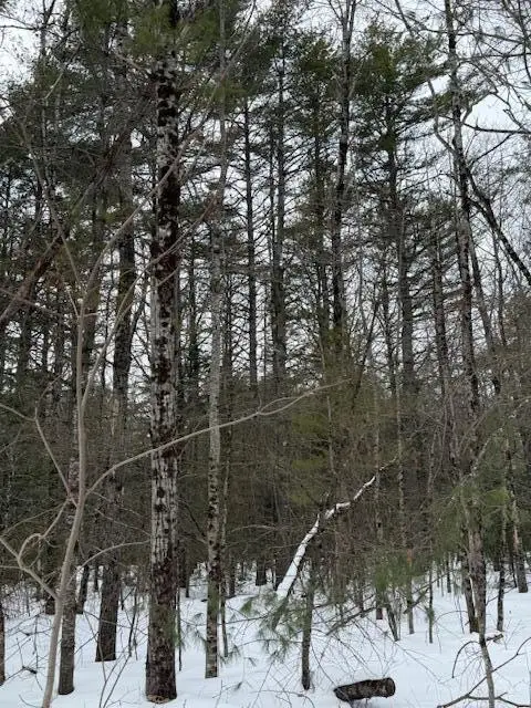 Lot 2 Willow Way, Jefferson, ME 04348 - #3