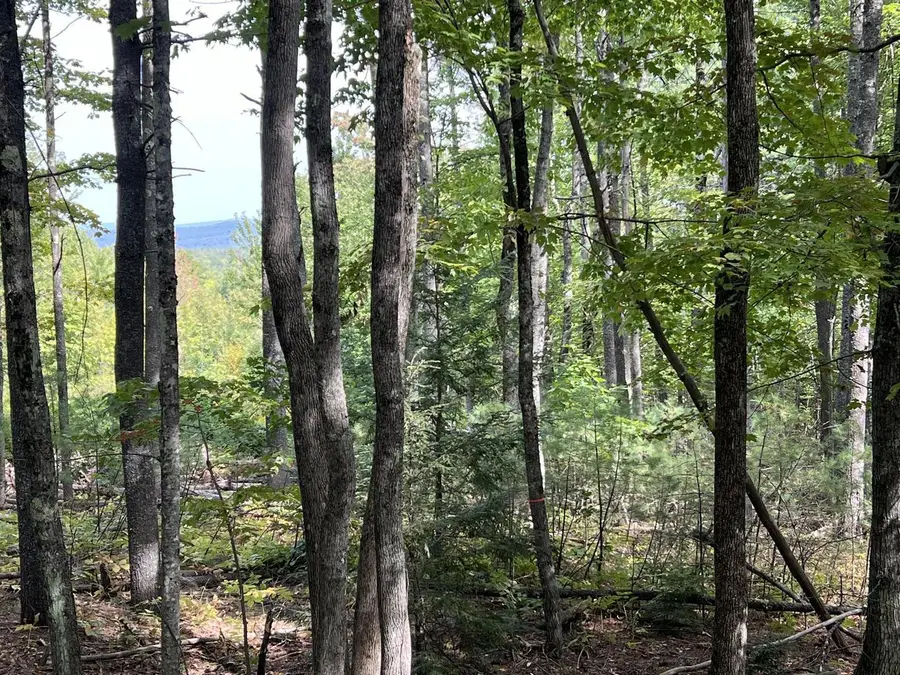 3-2 Summit Hill Road, Harrison, ME 04040 - #3