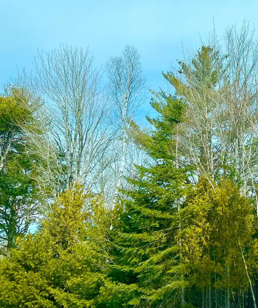 Lot 77-A Long Hill Road, Southwest Harbor, ME 04679 - #2