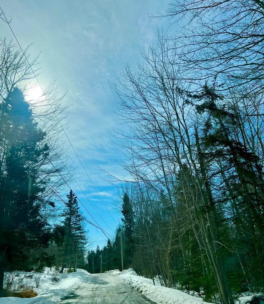 Lot 77-A Long Hill Road, Southwest Harbor, ME 04679 - #3