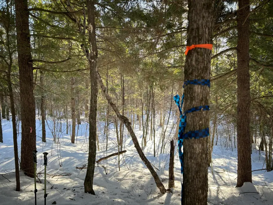 M7L31 Nelson Ridge Road N, Washington, ME 04574 - #3