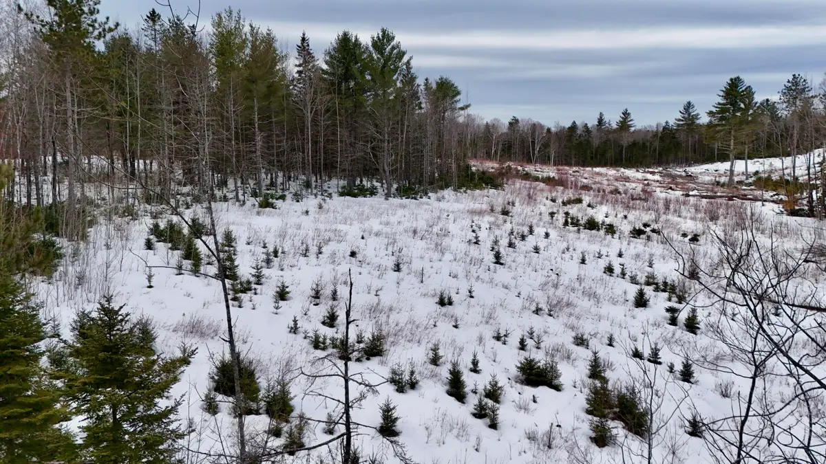 151 N Guilford Road, Monson, ME 04464 - #1