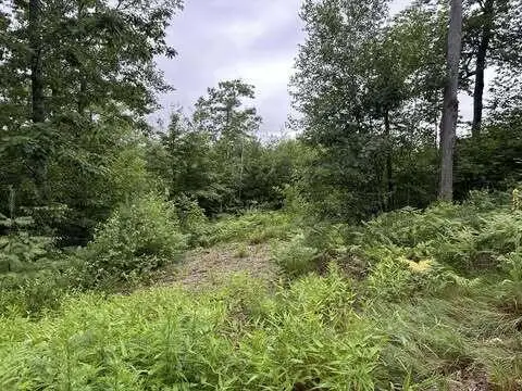 R01-044D Christian Hill Road, Lovell, ME 04051 - #3