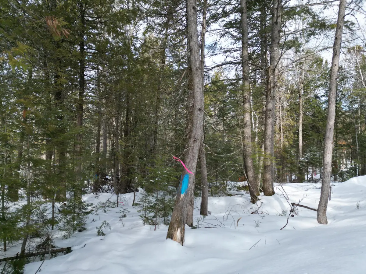 12 Falcon Ridge, Lincoln, ME 04457 - #1