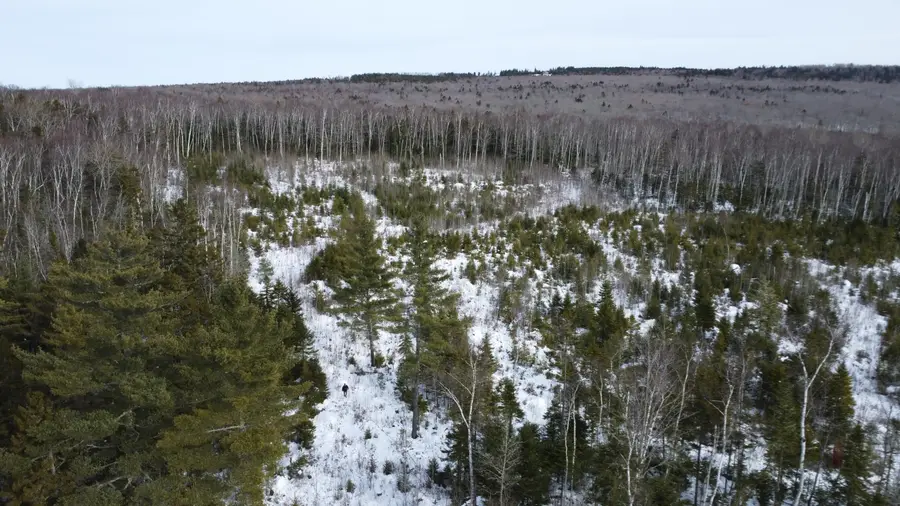 M3/L9.11 Bemis Road, Rangeley Plt, ME 04970 - #3