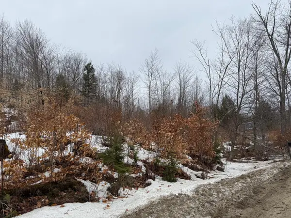 Address Withheld By Seller, Buckfield, ME 04220