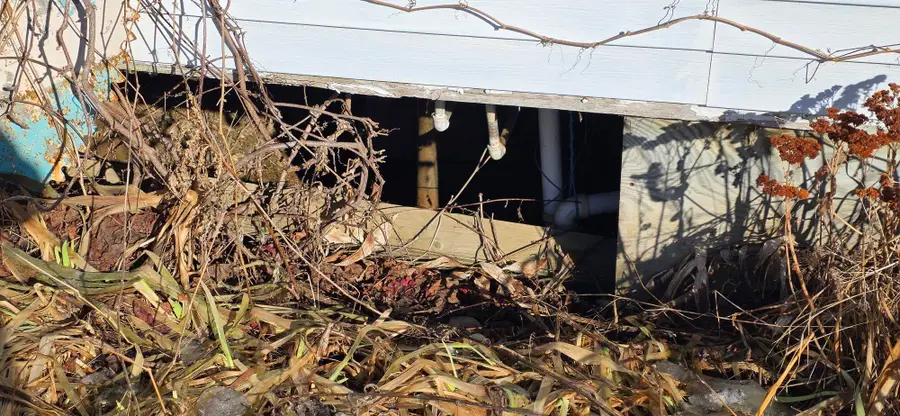 95 Station Road, Easton, ME 04740 - #2