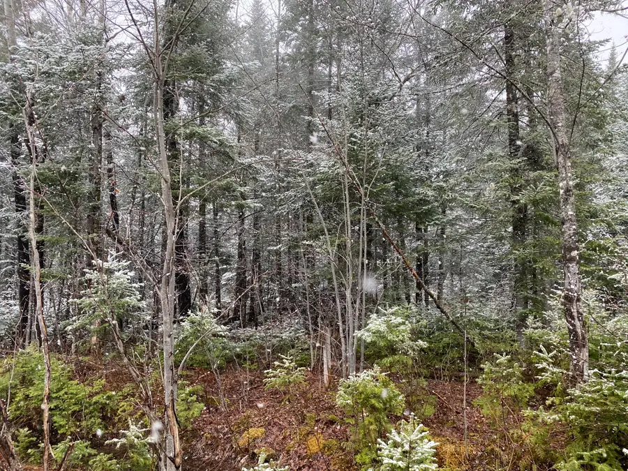 913 Skedgell Road, South Aroostook, ME 04471 - #2