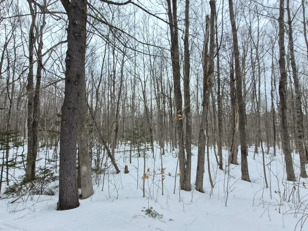 M14 L39 Sandy Point Road, Vassalboro, ME 04989 - #1