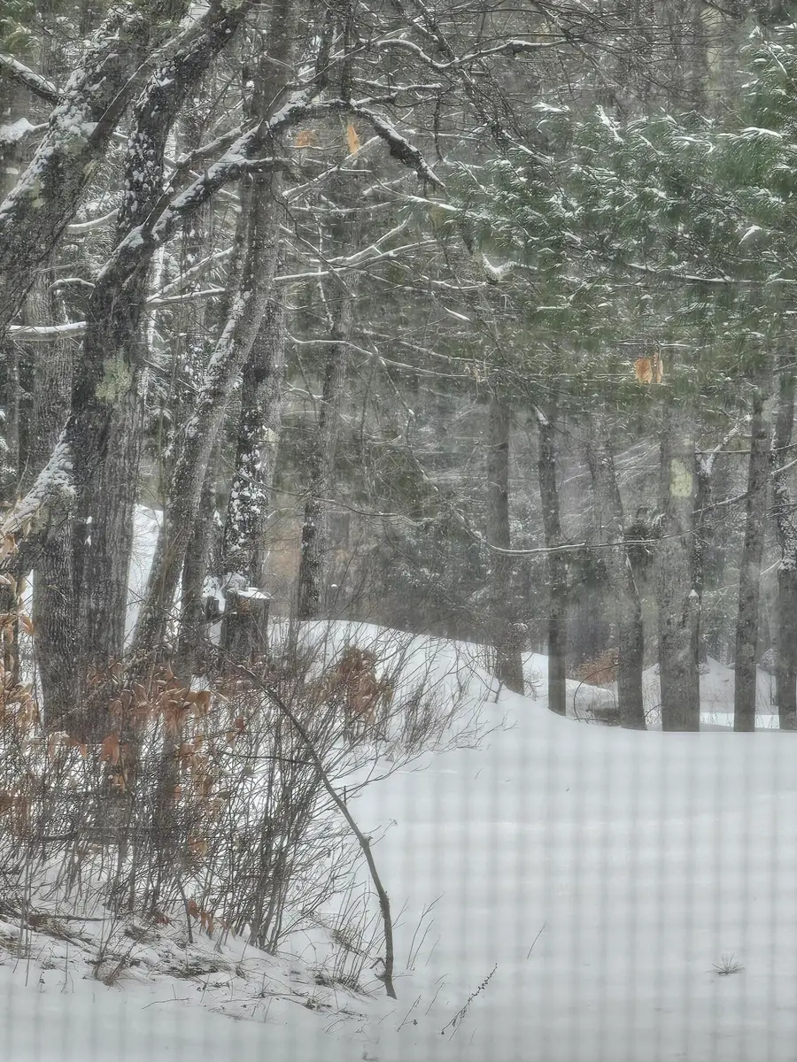 1 Andrews Road, Woodstock, ME 04219 - #2