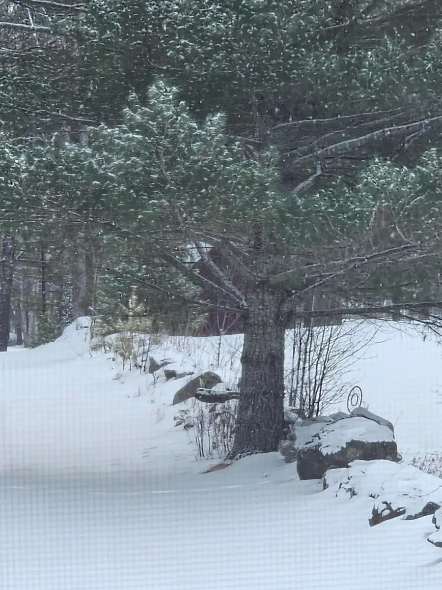 1 Andrews Road, Woodstock, ME 04219 - #3