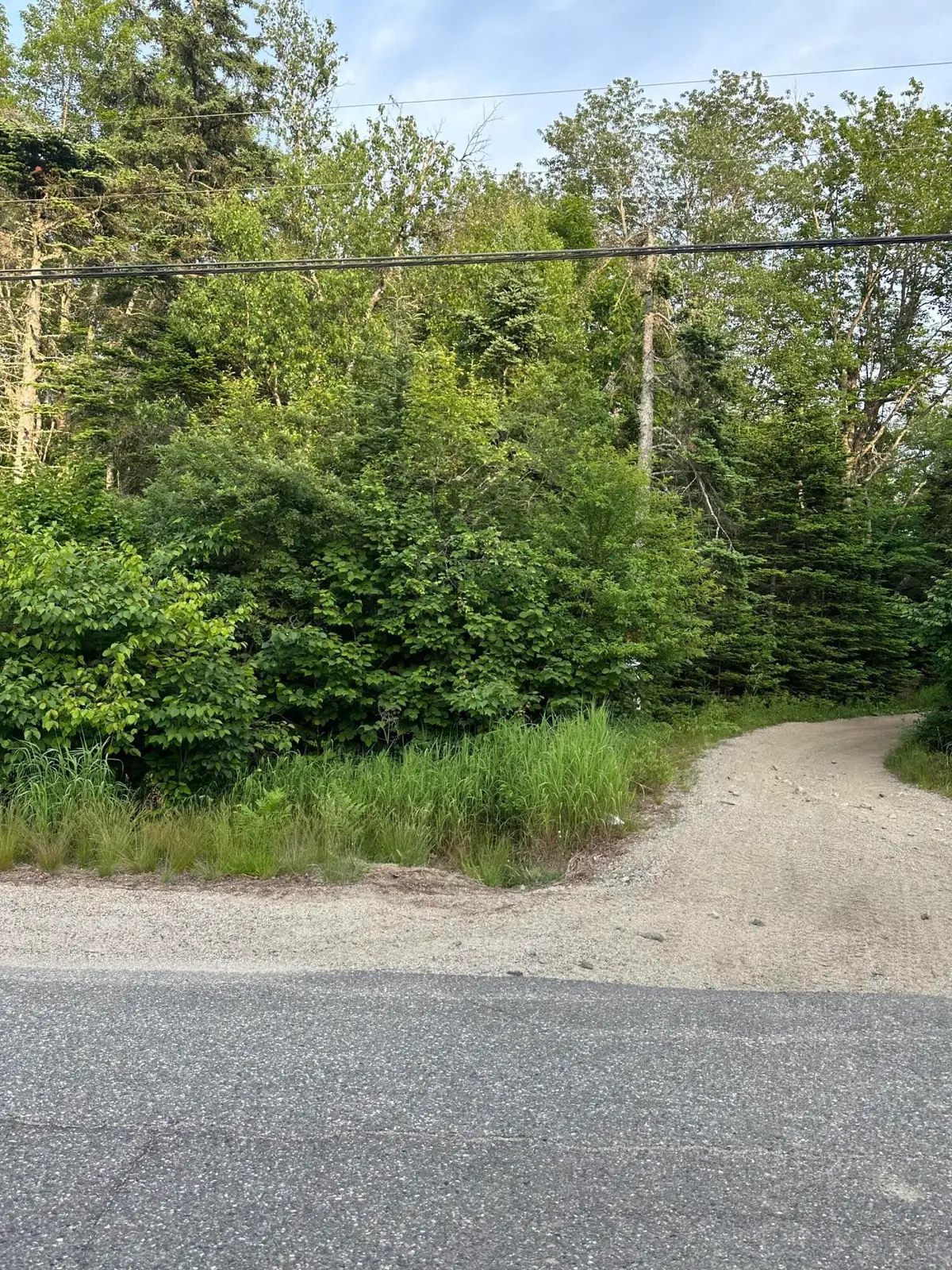 Address Withheld By Seller, Cherryfield, ME 04622 - #1