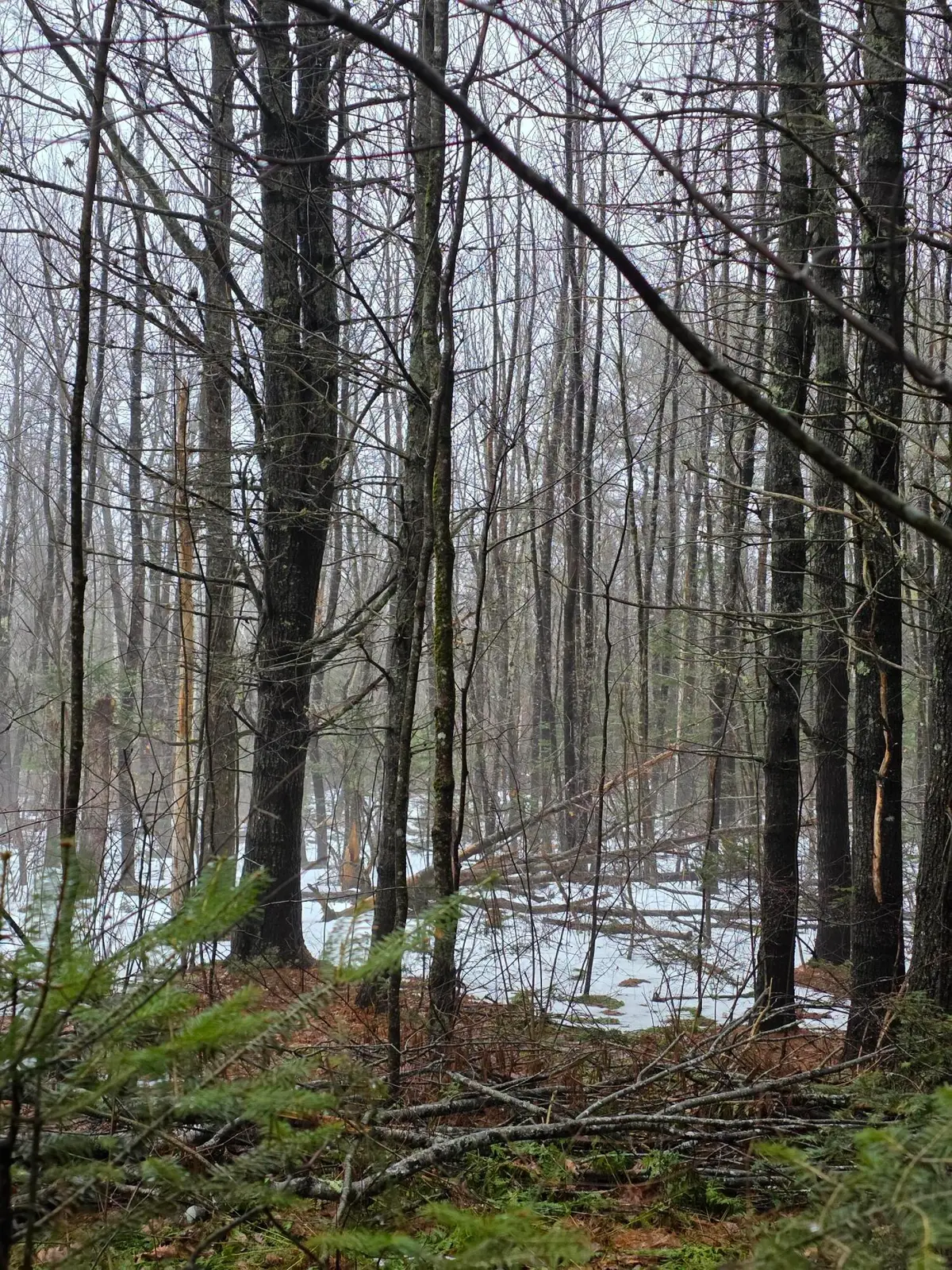 00 Harriman Road, Swanville, ME 04915 - #1