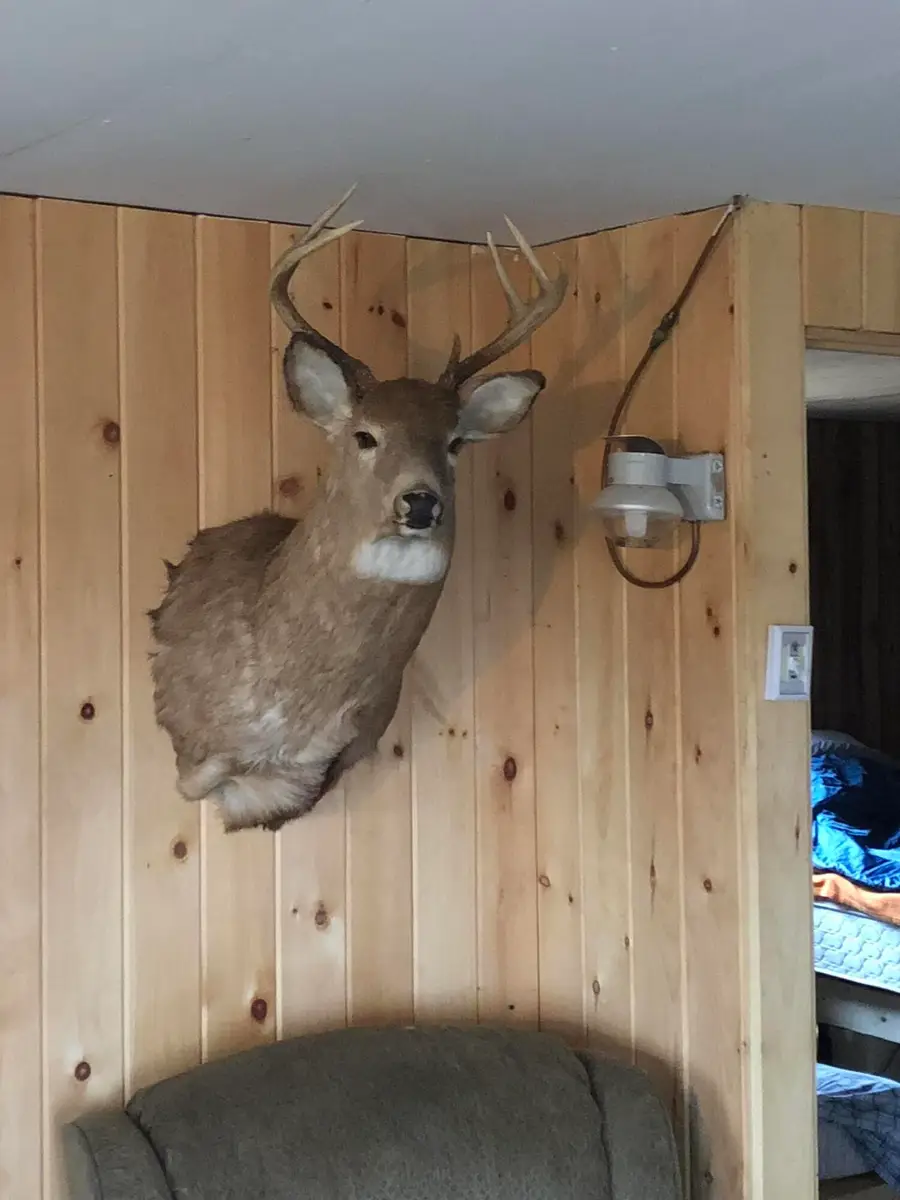 Project576 Benedicta Twp, Benedicta, ME 04733 - #2