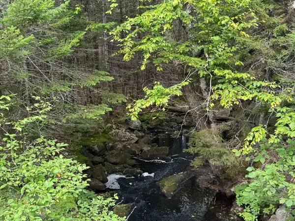 Lot 6 Black Cow Meadow Road, Northfield, ME 04654