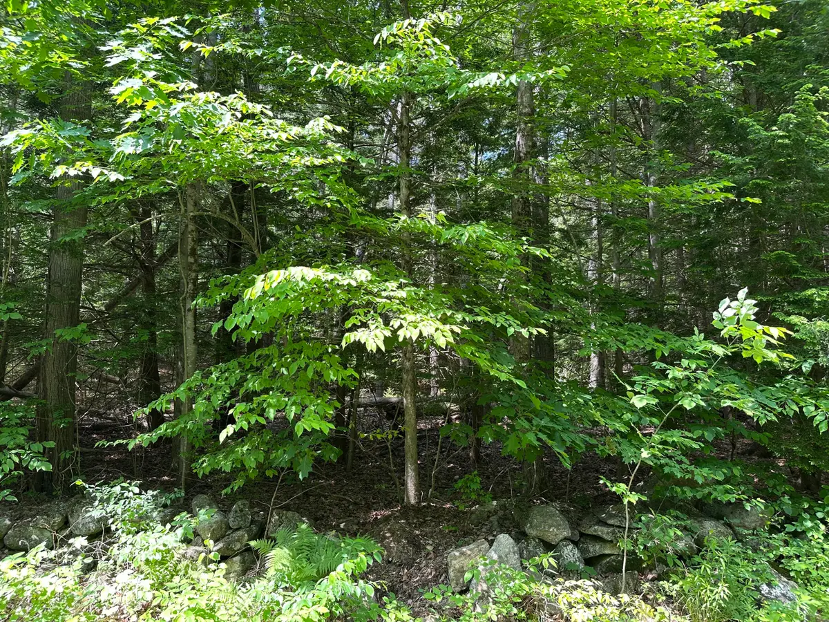 0 Dingley Road, Bowdoinham, ME 04008 - #1