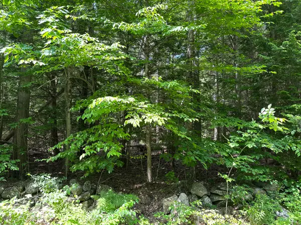 0 Dingley Road, Bowdoinham, ME 04008