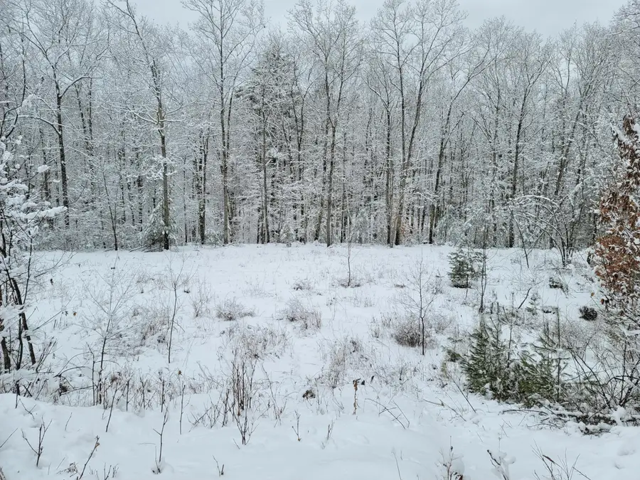 9 Commons Drive, Lewiston, ME 04240 - #2