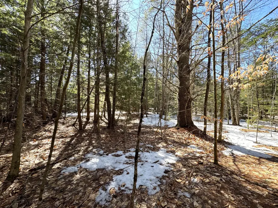 Lot 5 Lords Hill Road, Brownfield, ME 04010 - #2