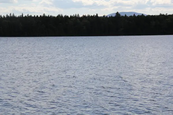 Lot 4 Eagle Trail, Carrying Place Twp, ME 04961