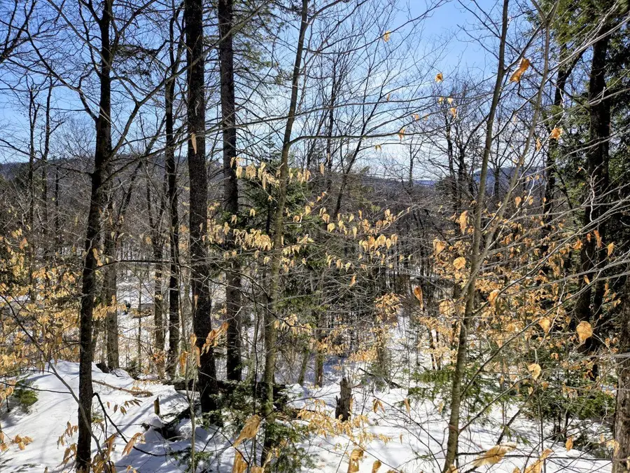 Lot 10C Staples Pond Road, Temple, ME 04984 - #2