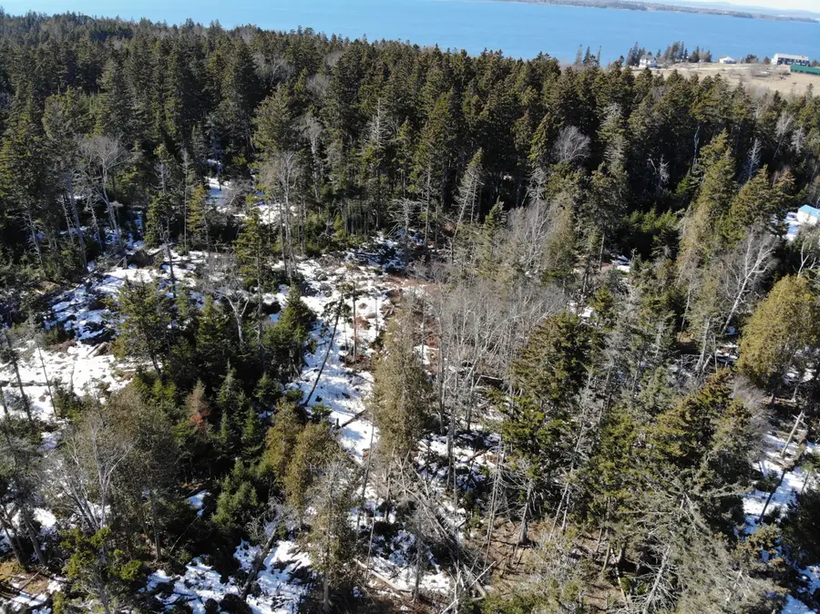 1148 Cape Rosier Road, Brooksville, ME 04617 - #3