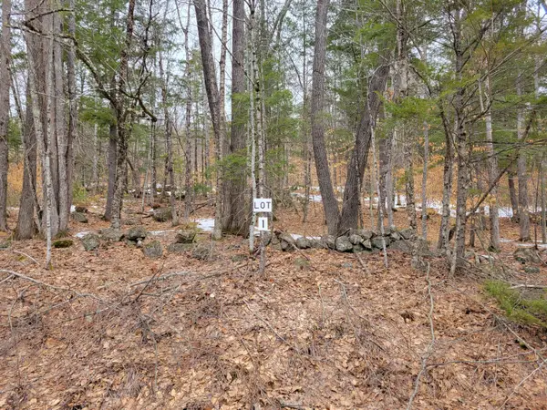 Lot #1 W West Fryeburg Road, Fryeburg, ME 04037