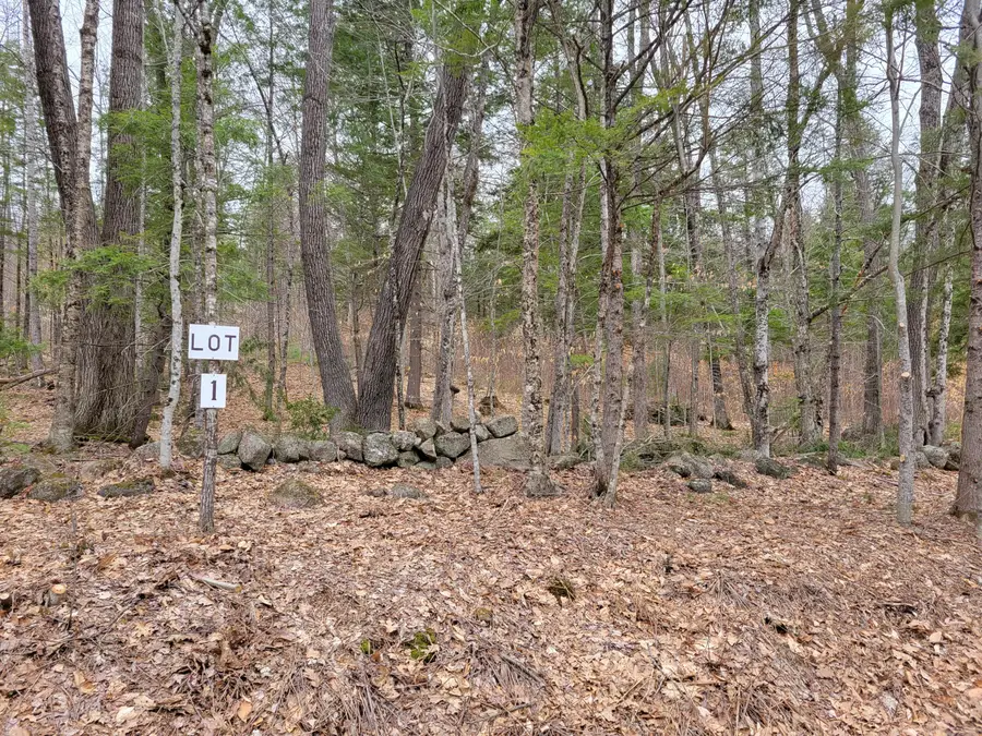 Lot #1 W West Fryeburg Road, Fryeburg, ME 04037 - #2