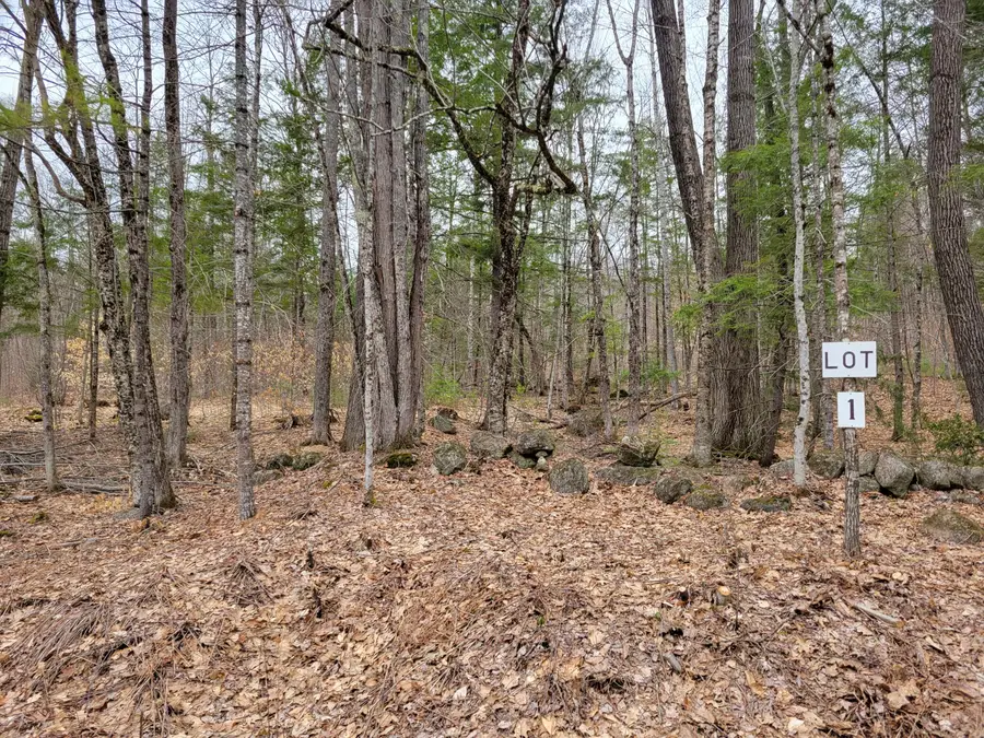 Lot #1 W West Fryeburg Road, Fryeburg, ME 04037 - #3