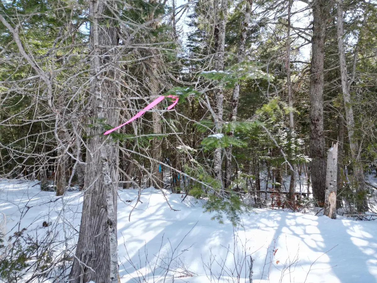 20 Twin Springs Lane, Lincoln, ME 04457 - #1