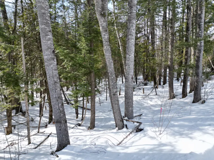 8 Twin Springs Lane, Lincoln, ME 04457 - #3