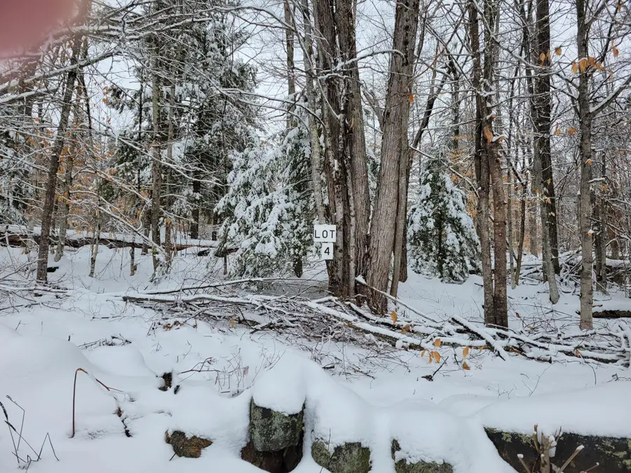 582 W West Fryeburg Road #4, Fryeburg, ME 04037 - #2