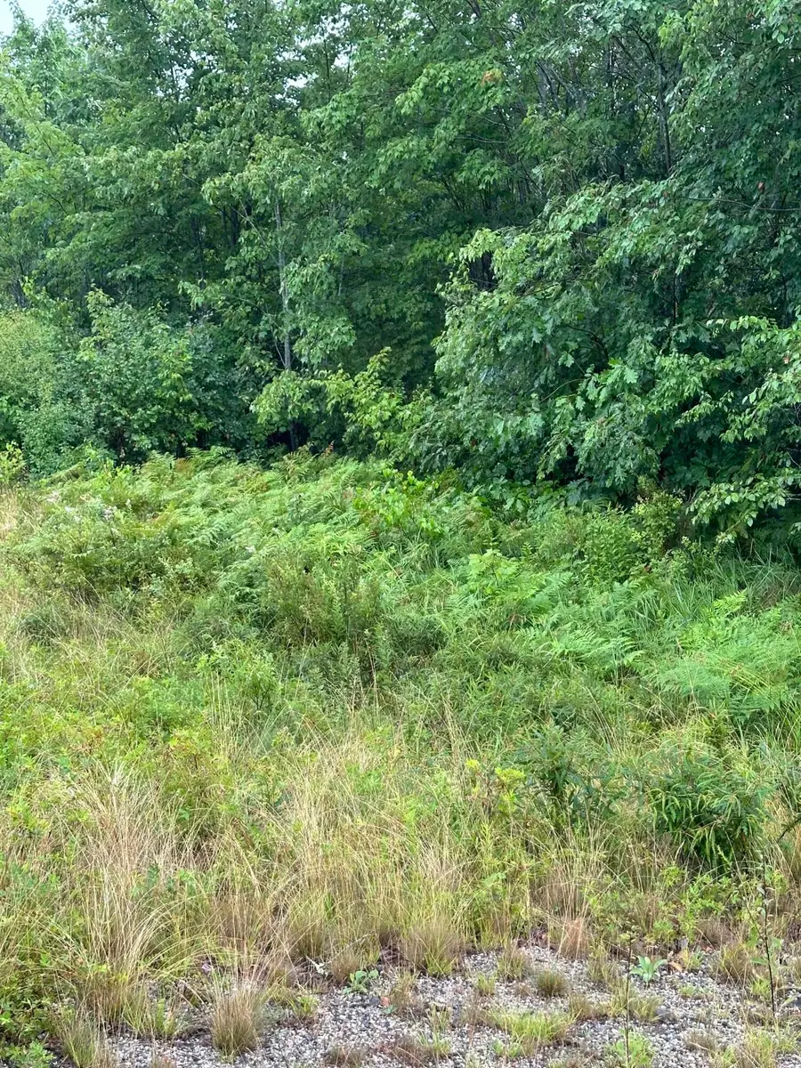 Lot 60 Tenan Lane, Cherryfield, ME 04622 - #3