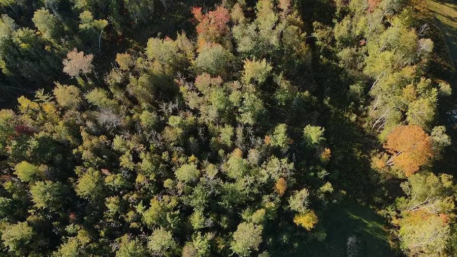 Lot 81 Fuller Road, Hermon, ME 04401 - #3