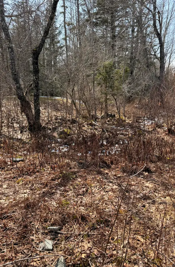 Lot 9-1 Christian Ridge Road, Ellsworth, ME 04605