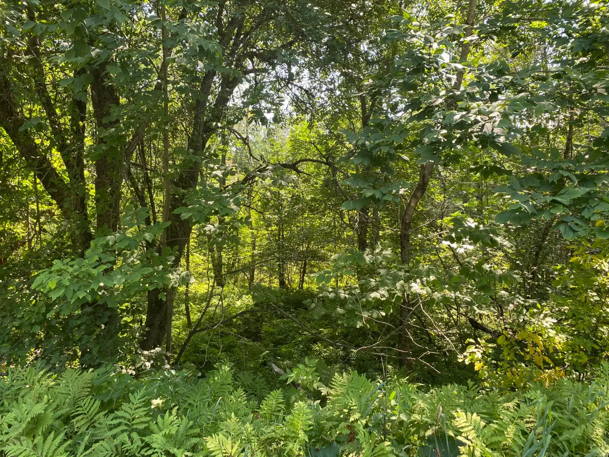 Map1Lot25 Taylor Road, Athens, ME 04912 - #1