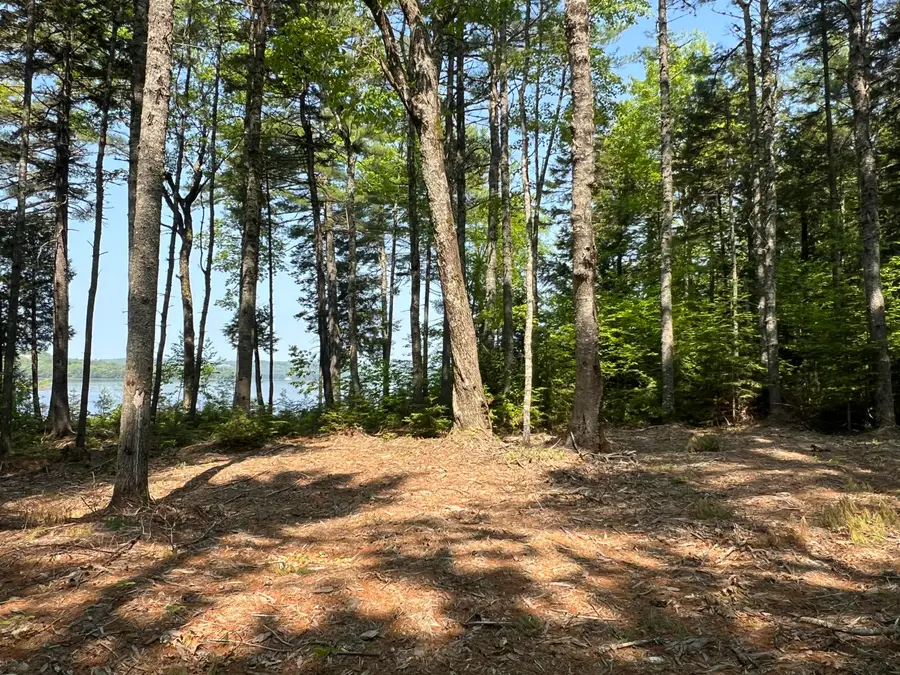 5 Taylor Woods Road, Waltham, ME 04605 - #3