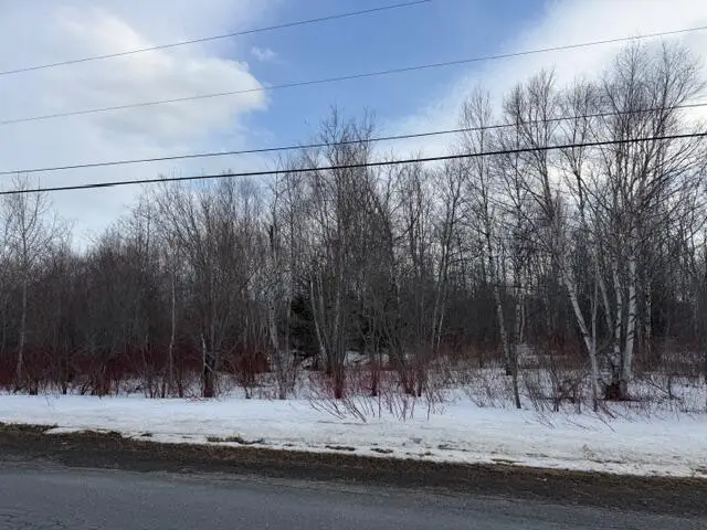 M004L036B Caribou Lake Road, Caribou, ME 04736 - #3