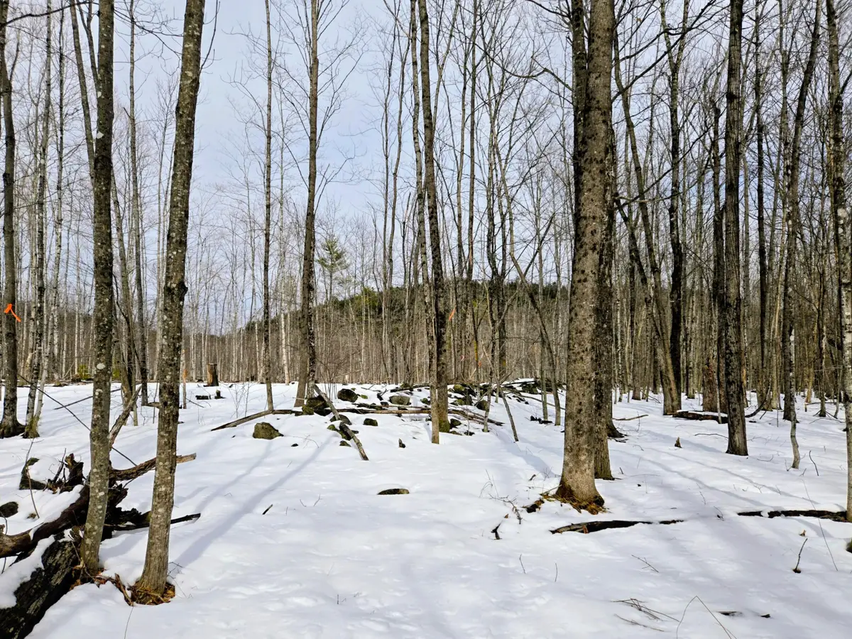 Lot 26 Canton Mountain Road, Jay, ME 04239 - #1