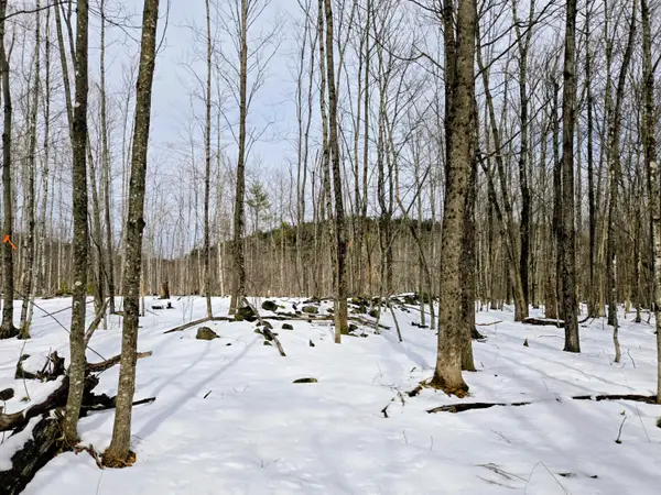 Lot 26 Canton Mountain Road, Jay, ME 04239