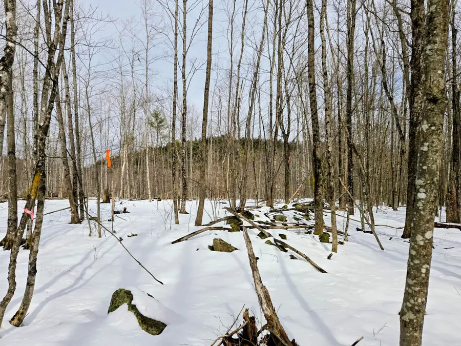 Lot 26 Canton Mountain Road, Jay, ME 04239 - #3